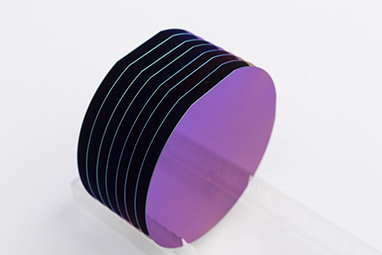 晶圓等離子去膠